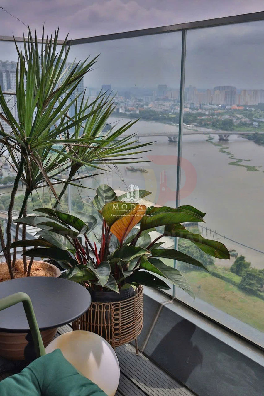 Chậu cây cảnh trang trí ban công chung cư cao tầng với lan can kính nhìn ra sông và thành phố