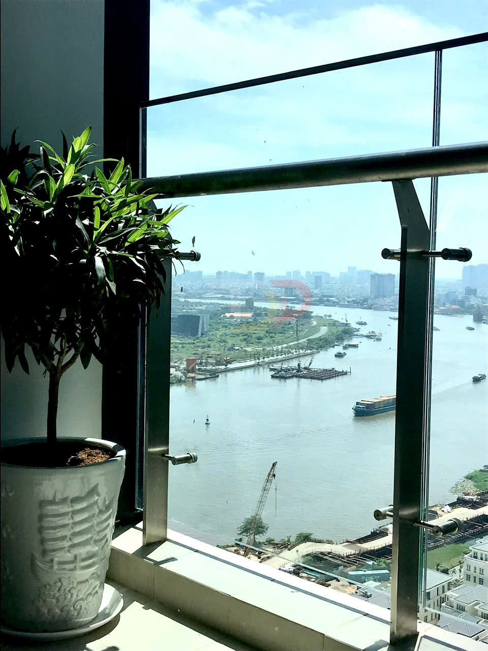 Chậu cây xanh đặt cạnh lan can kính nhìn ra sông và công trình xây dựng bên bờ sông