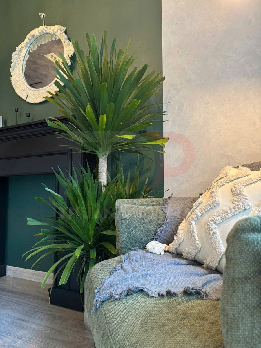 Cây cảnh lá xanh đặt cạnh sofa vải xanh với gối tựa và chăn trang trí trong phòng khách hiện đại