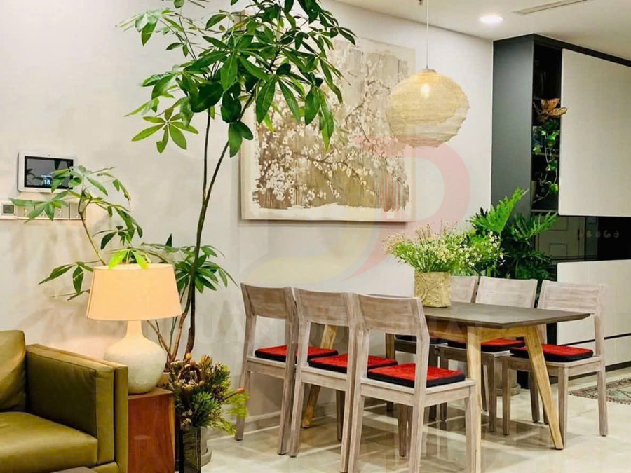 Bộ bàn ghế ăn gỗ 6 chỗ đệm đỏ trong phòng ăn hiện đại trang trí nhiều cây xanh