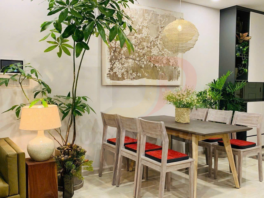 Bộ bàn ăn gỗ sáu ghế đệm đỏ trong phòng ăn hiện đại trang trí cây xanh và đèn thả ấm cúng
