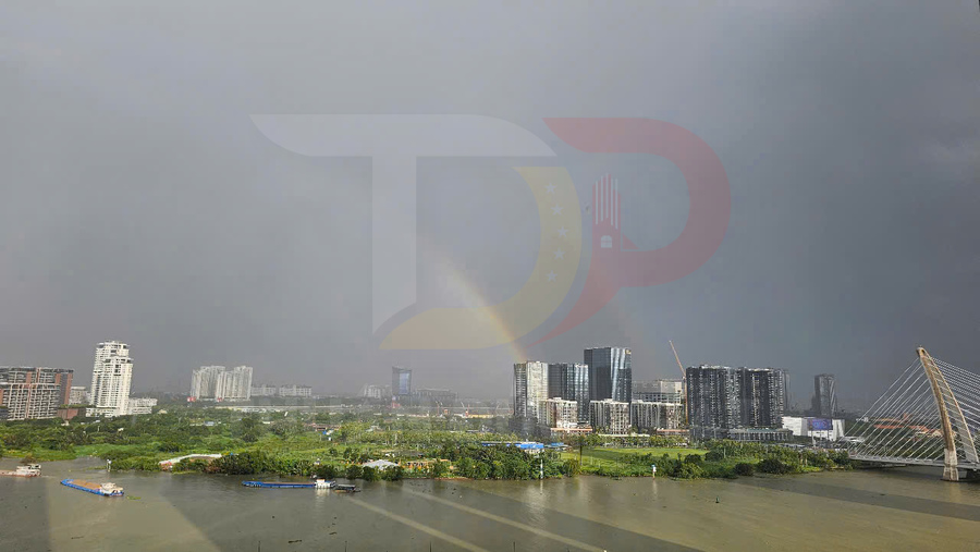Cho thuê căn hộ Grand Marina Saigon Lake 5 1 Phòng Ngủ View Sông Sài Gòn Giá 60 Triệu Mỗi Tháng
